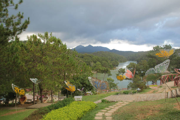 Tarangi Resort